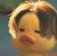 A duck A duck
